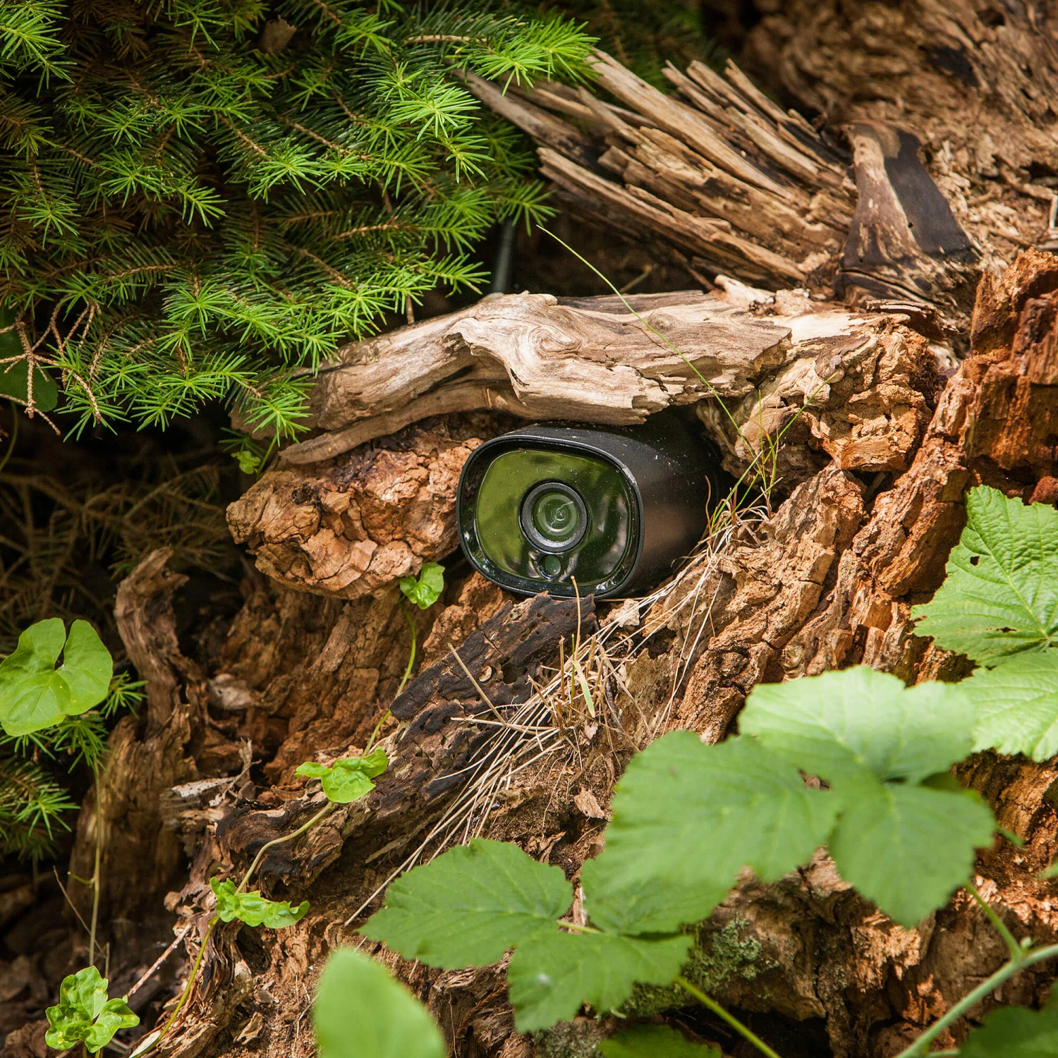 HEISSNER SMART GARDEN CAM - WiFi-Kamera IP66 Outdoor 2 HEISSNER SMART GARDEN CAM - WiFi-Kamera IP66 Outdoor – Bild 2
